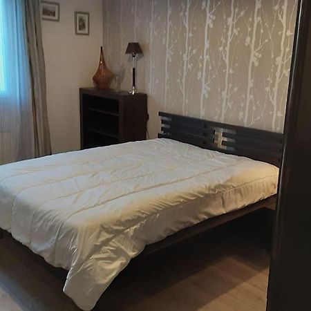 Grand T1 Meuble Apartment แซ็ง-ฟลูร์ ภายนอก รูปภาพ