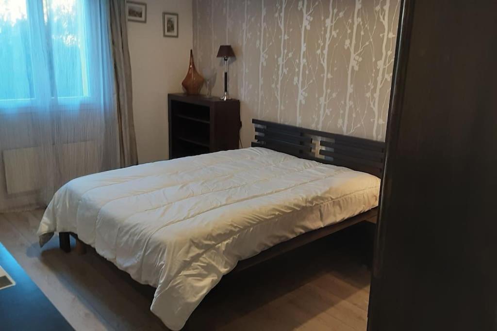 Grand T1 Meuble Apartment แซ็ง-ฟลูร์ ภายนอก รูปภาพ